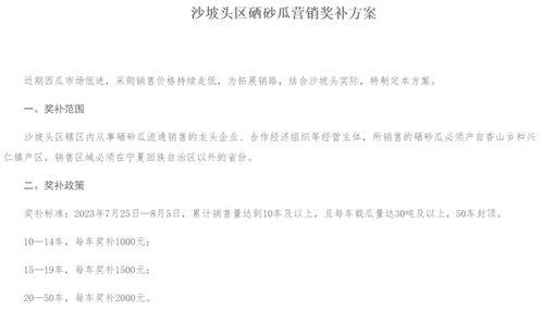 带你吃瓜瓜的作文,带你领略“吃瓜瓜”作文中的趣味与智慧