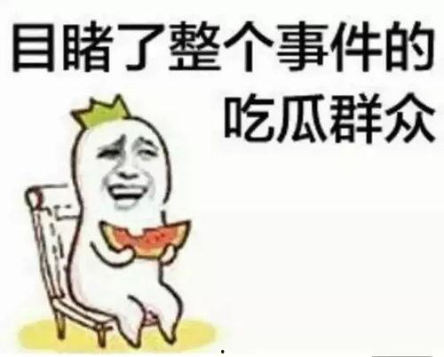 吃瓜群众路线什么意思,揭秘网络舆论场的围观智慧
