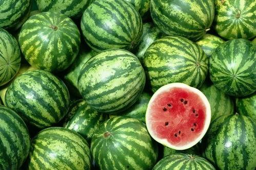 免费吃瓜全球更新最快,全球资讯一网打尽——最新更新速递