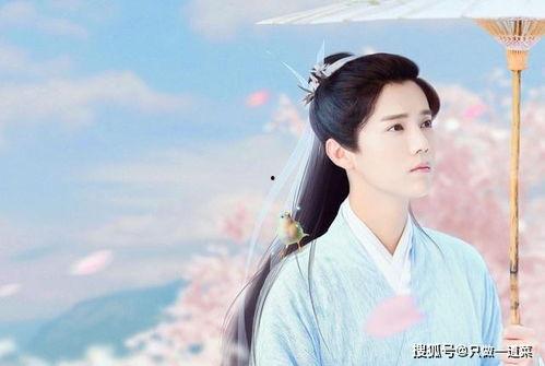 崽崽娱乐圈吃瓜小说,崽崽吃瓜小说揭秘幕后真相